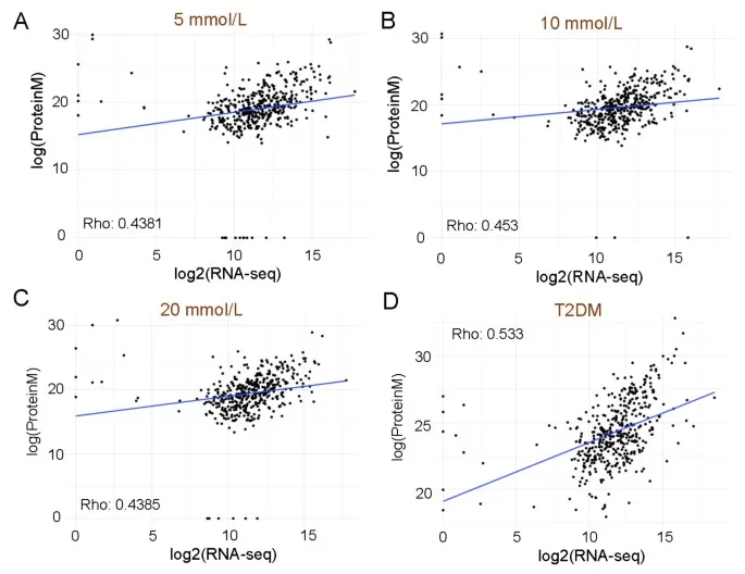 Correlation (Spearman correlation coefficient) between ECM proteins and mRNA levels across various glucose conditions and T2DM patient samples for 448 genes.